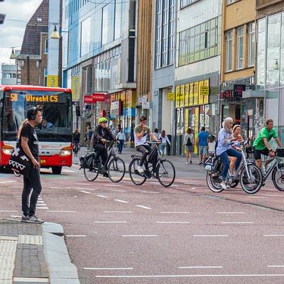 Cycleway networks in large cities across the globe: a closer look